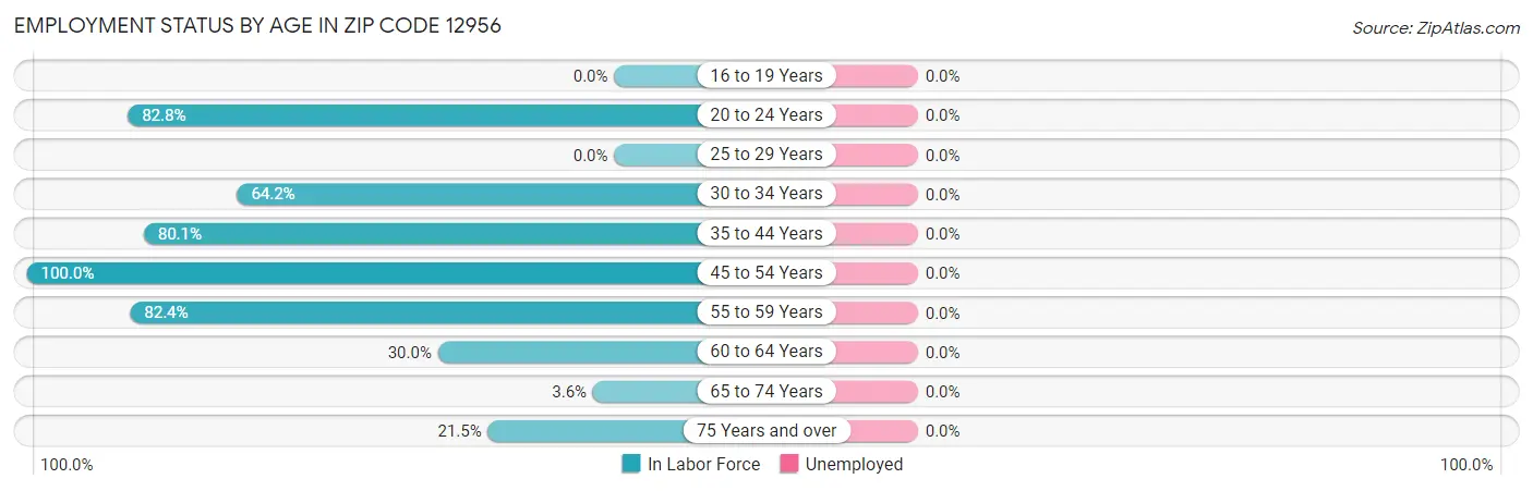 Employment Status by Age in Zip Code 12956