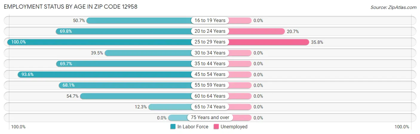 Employment Status by Age in Zip Code 12958