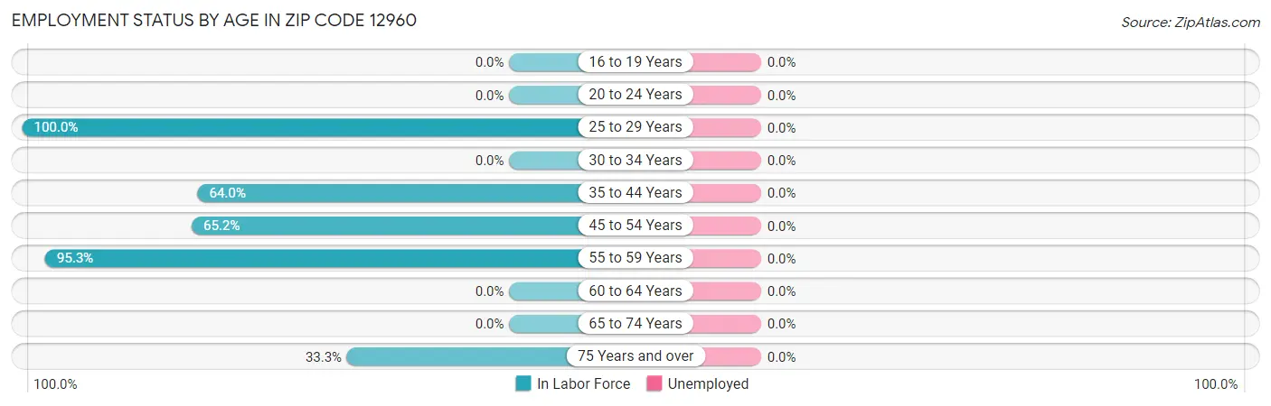 Employment Status by Age in Zip Code 12960