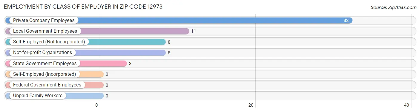 Employment by Class of Employer in Zip Code 12973