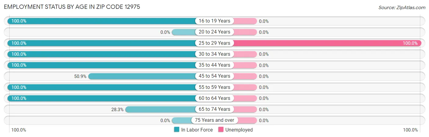 Employment Status by Age in Zip Code 12975