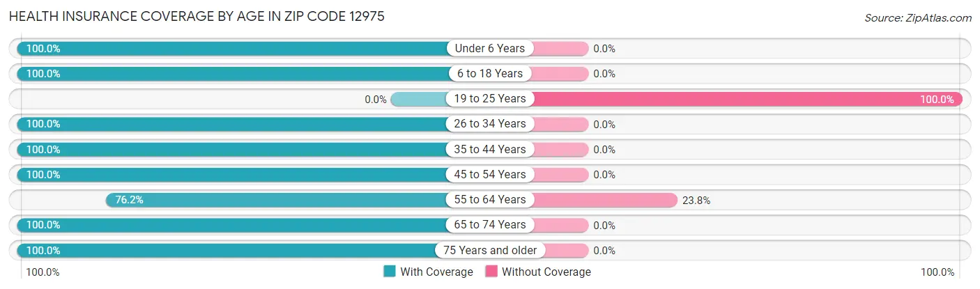 Health Insurance Coverage by Age in Zip Code 12975