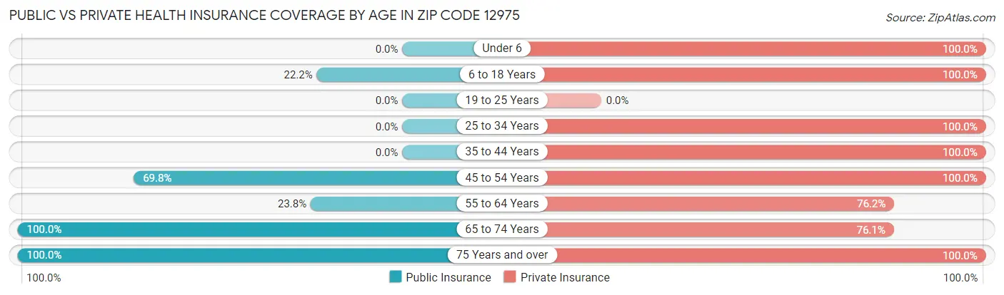 Public vs Private Health Insurance Coverage by Age in Zip Code 12975
