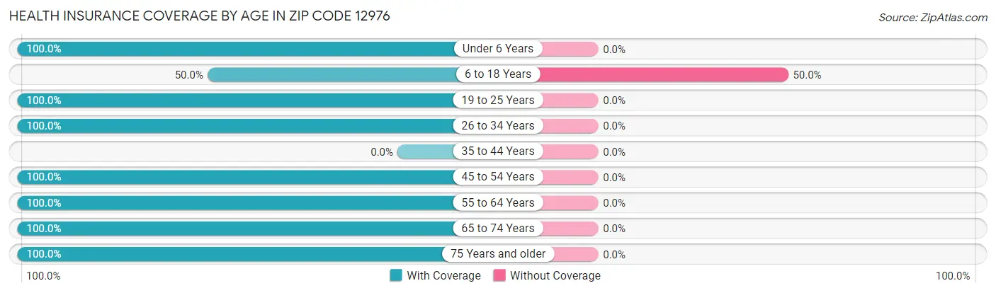 Health Insurance Coverage by Age in Zip Code 12976