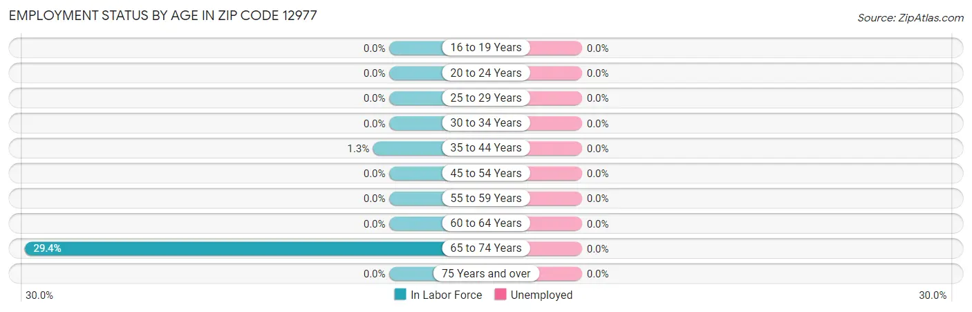 Employment Status by Age in Zip Code 12977