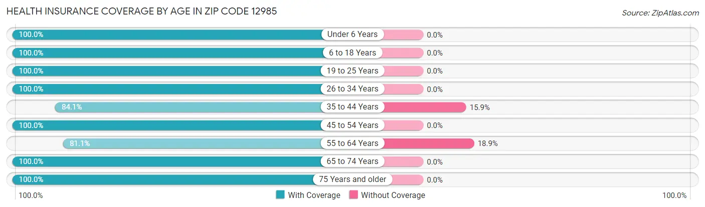 Health Insurance Coverage by Age in Zip Code 12985
