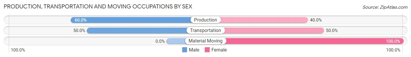Production, Transportation and Moving Occupations by Sex in Zip Code 12989