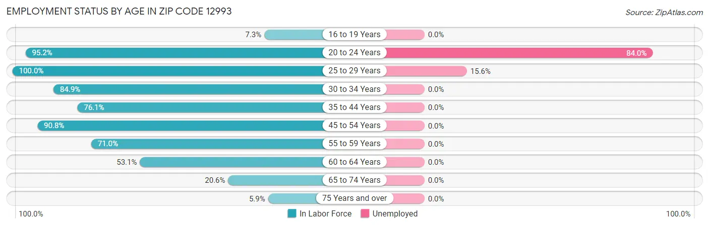 Employment Status by Age in Zip Code 12993