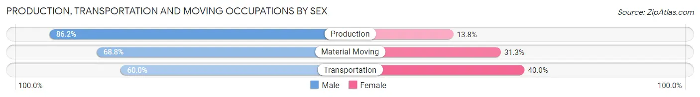 Production, Transportation and Moving Occupations by Sex in Zip Code 12993