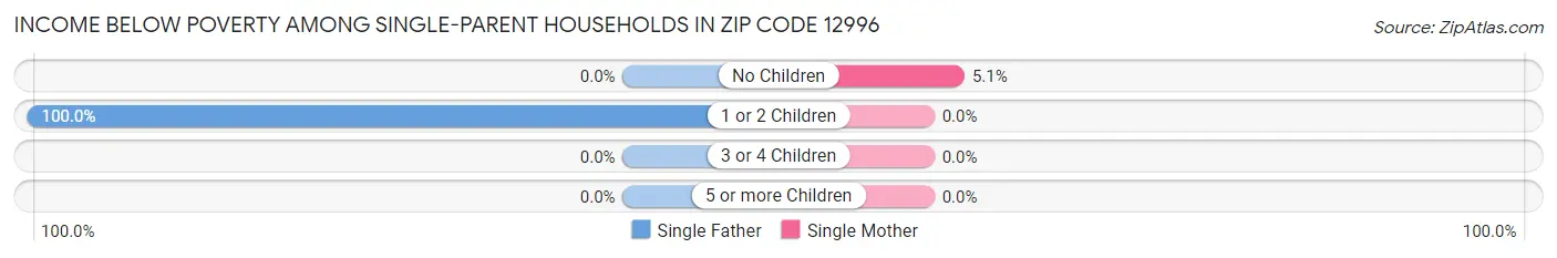 Income Below Poverty Among Single-Parent Households in Zip Code 12996