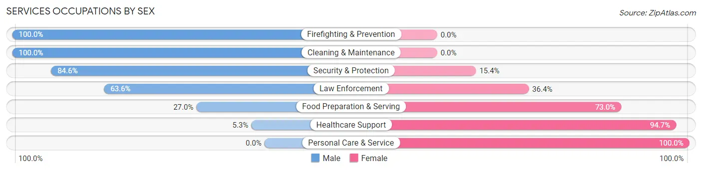 Services Occupations by Sex in Zip Code 12996