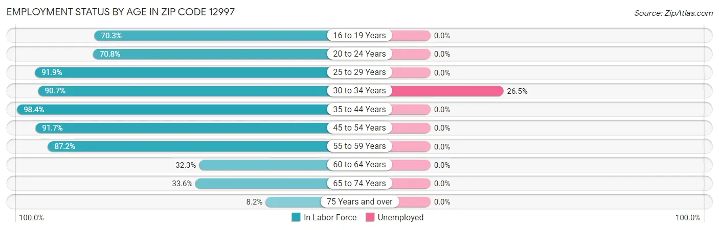 Employment Status by Age in Zip Code 12997