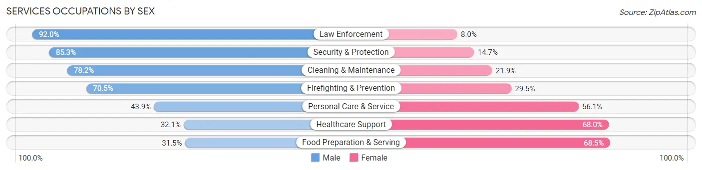 Services Occupations by Sex in Zip Code 13027
