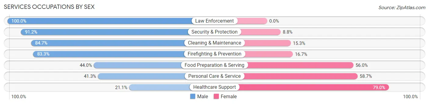 Services Occupations by Sex in Zip Code 13032