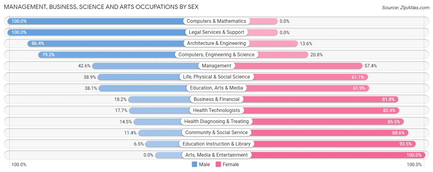 Management, Business, Science and Arts Occupations by Sex in Zip Code 13040