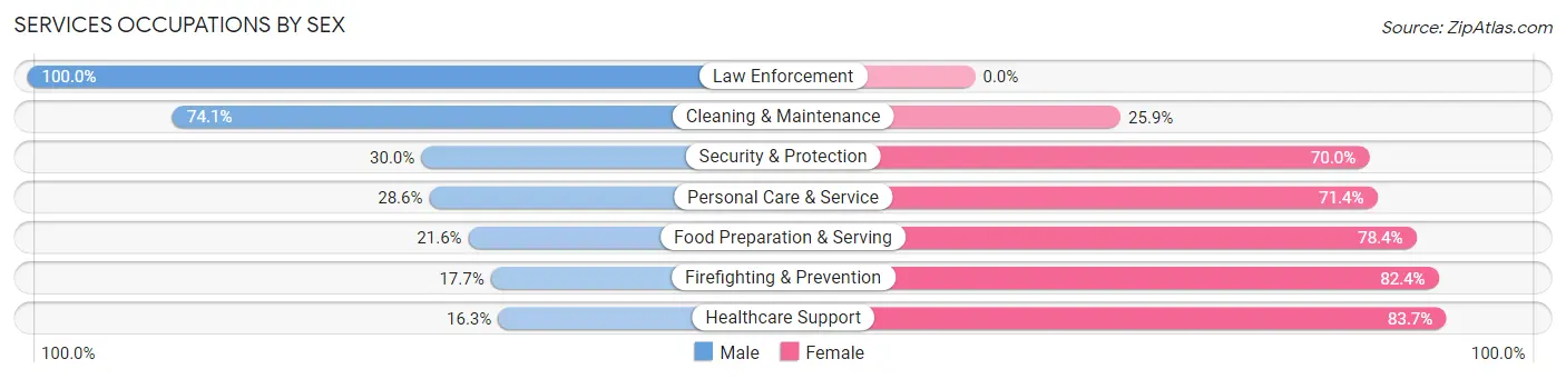 Services Occupations by Sex in Zip Code 13040
