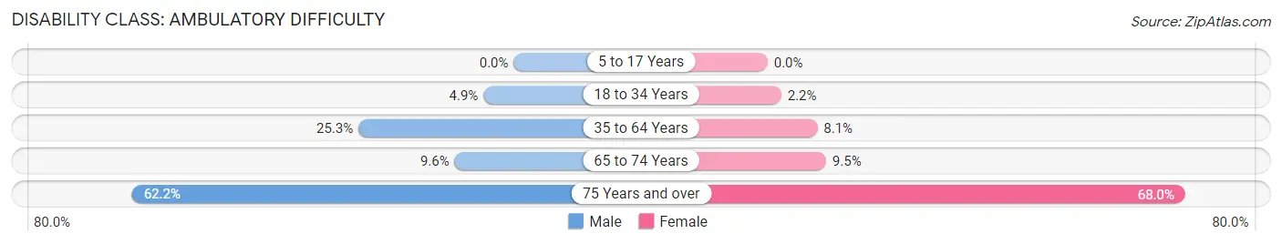 Disability in Zip Code 13044: <span>Ambulatory Difficulty</span>