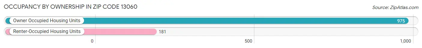 Occupancy by Ownership in Zip Code 13060