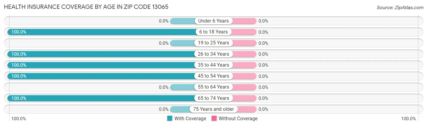 Health Insurance Coverage by Age in Zip Code 13065