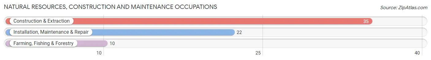 Natural Resources, Construction and Maintenance Occupations in Zip Code 13072