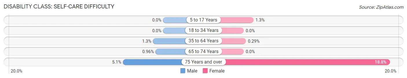 Disability in Zip Code 13074: <span>Self-Care Difficulty</span>