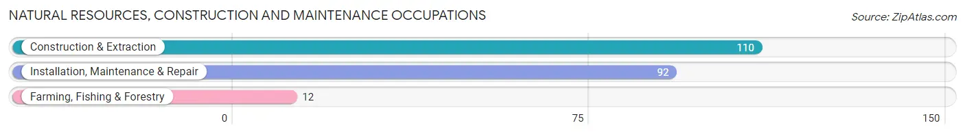 Natural Resources, Construction and Maintenance Occupations in Zip Code 13082