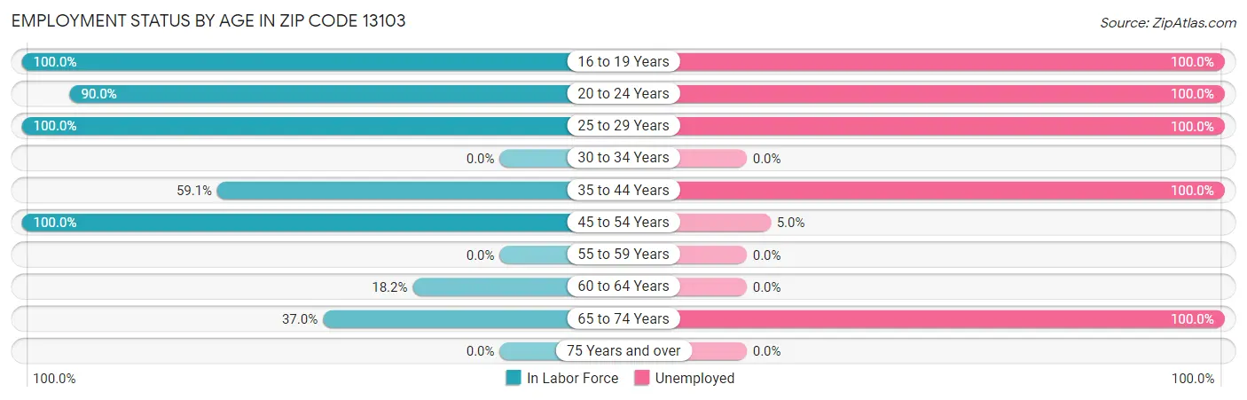 Employment Status by Age in Zip Code 13103