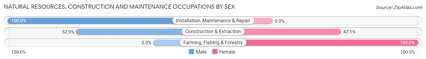 Natural Resources, Construction and Maintenance Occupations by Sex in Zip Code 13122