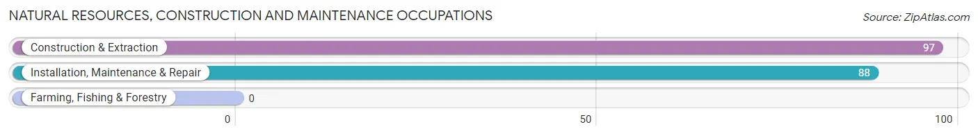 Natural Resources, Construction and Maintenance Occupations in Zip Code 13135