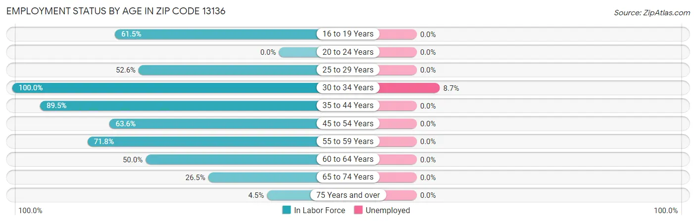 Employment Status by Age in Zip Code 13136