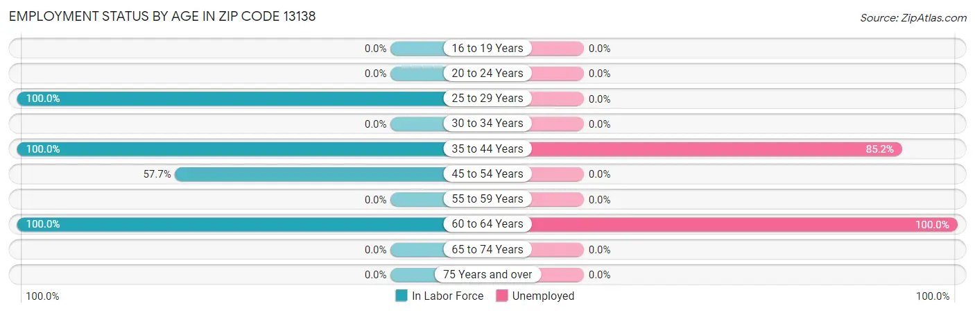 Employment Status by Age in Zip Code 13138