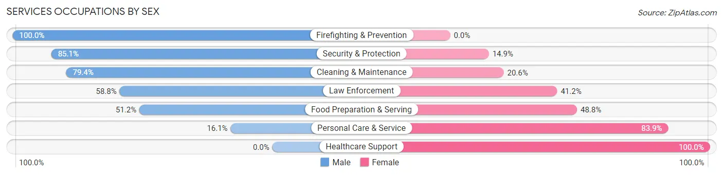 Services Occupations by Sex in Zip Code 13142