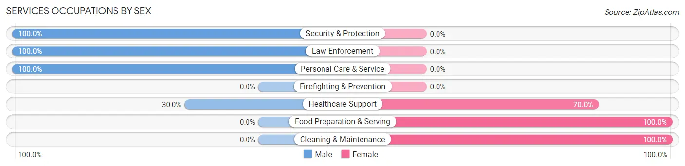 Services Occupations by Sex in Zip Code 13145