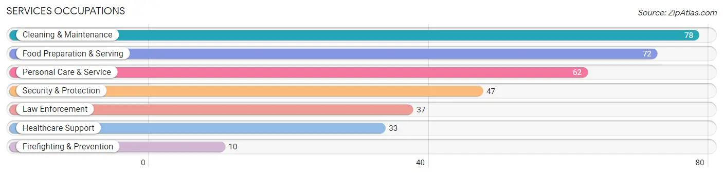 Services Occupations in Zip Code 13152