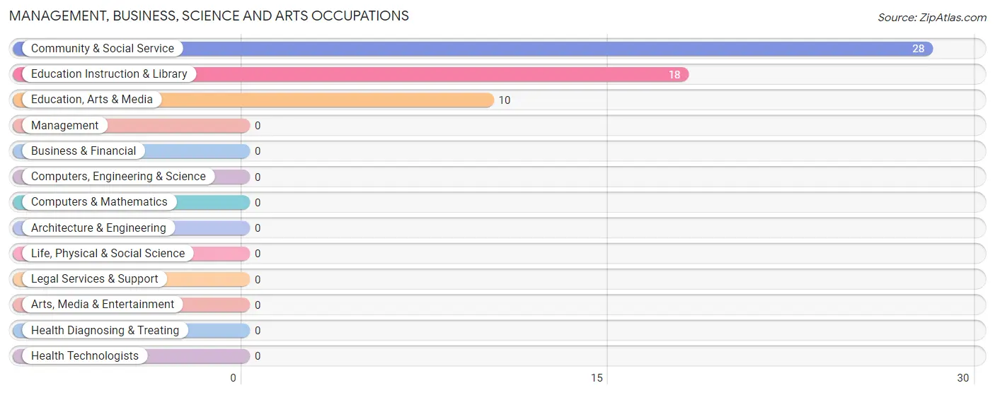 Management, Business, Science and Arts Occupations in Zip Code 13153