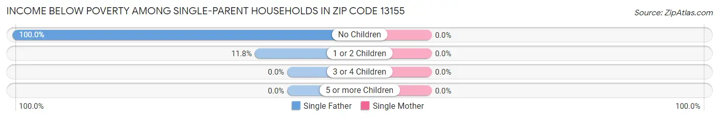 Income Below Poverty Among Single-Parent Households in Zip Code 13155