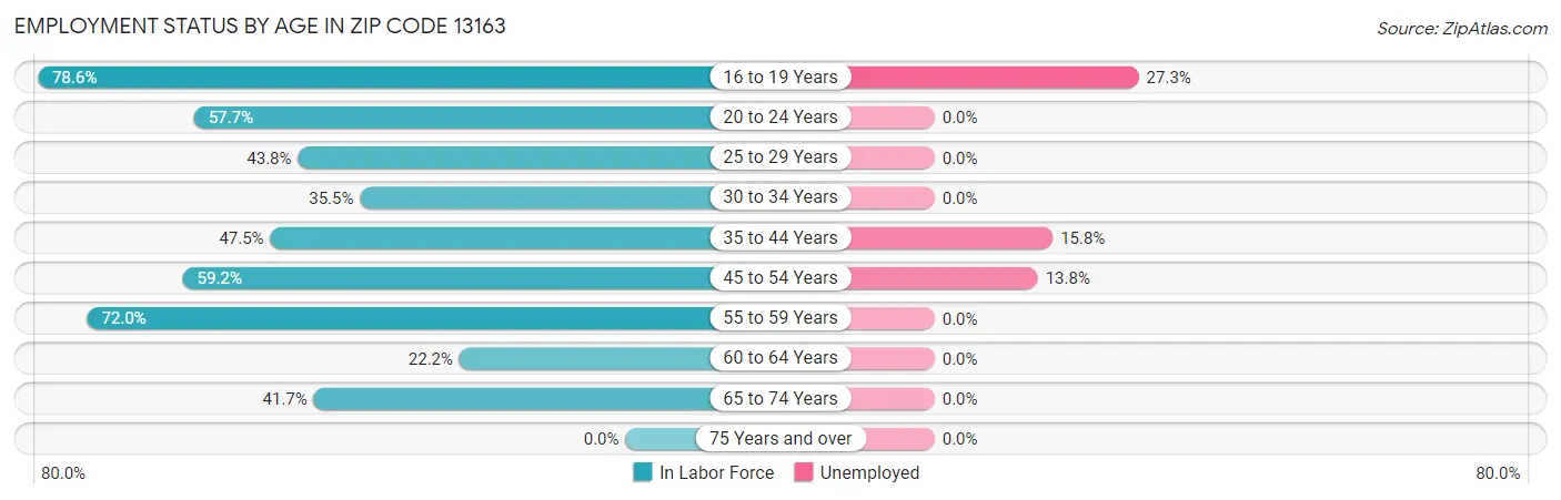 Employment Status by Age in Zip Code 13163