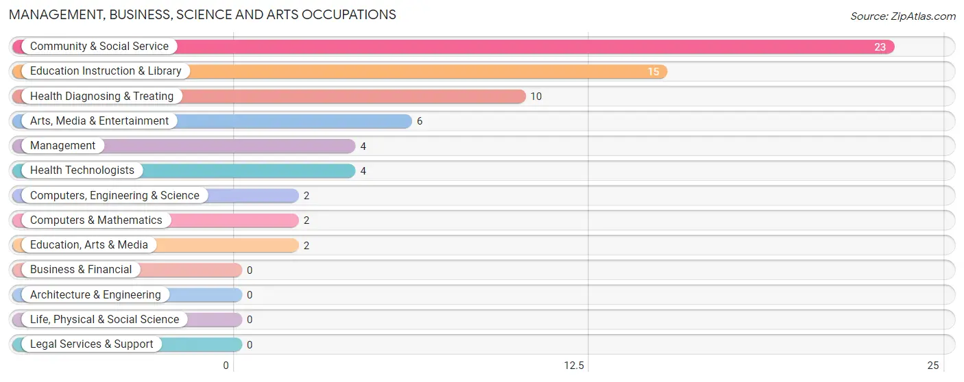 Management, Business, Science and Arts Occupations in Zip Code 13163