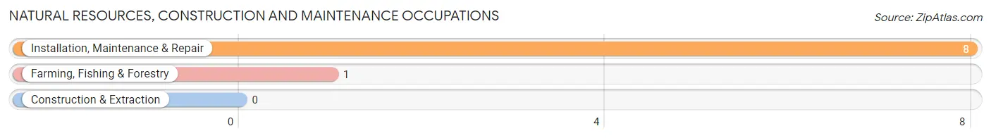 Natural Resources, Construction and Maintenance Occupations in Zip Code 13163