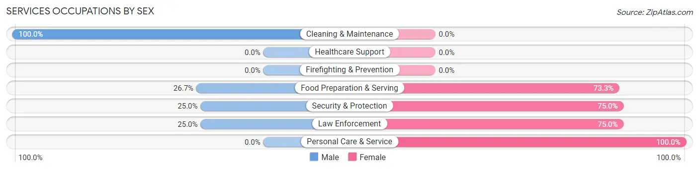 Services Occupations by Sex in Zip Code 13163