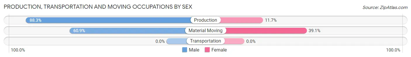 Production, Transportation and Moving Occupations by Sex in Zip Code 13164