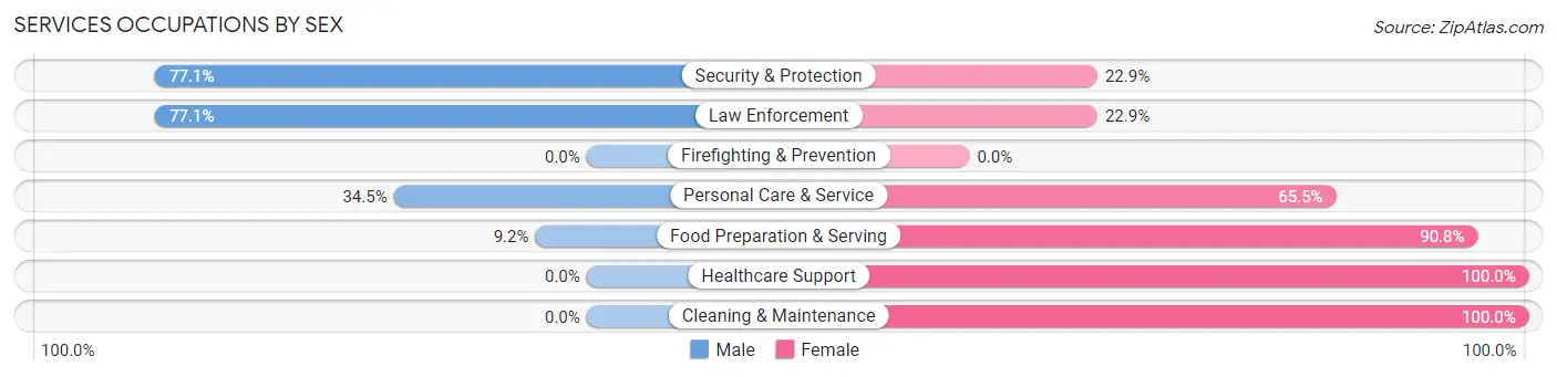 Services Occupations by Sex in Zip Code 13164