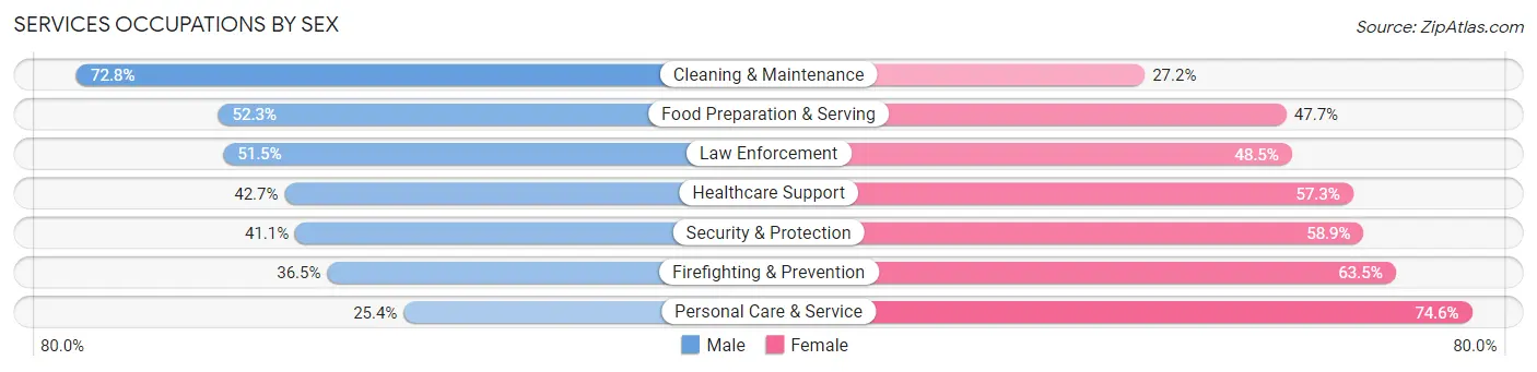 Services Occupations by Sex in Zip Code 13203