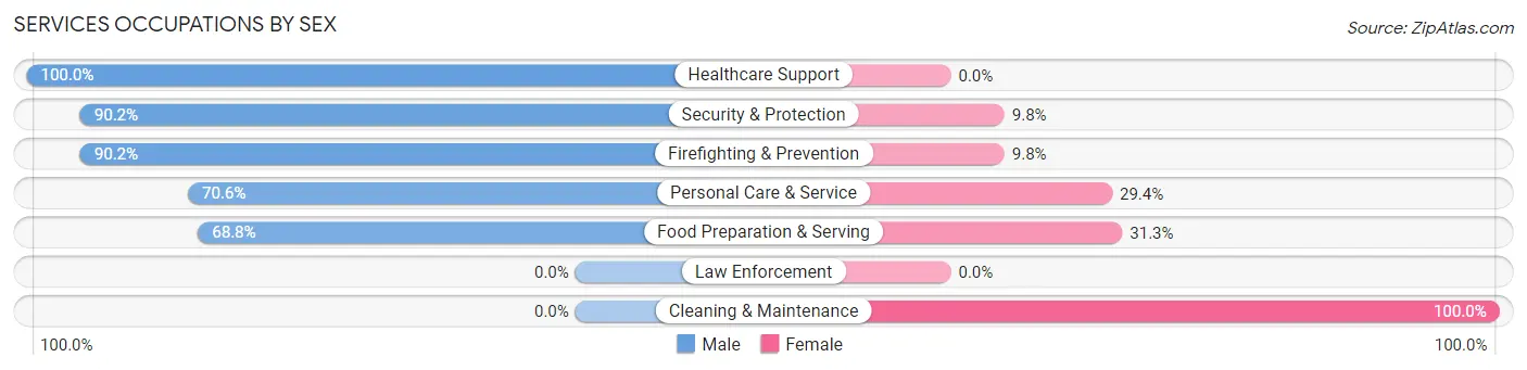 Services Occupations by Sex in Zip Code 13303