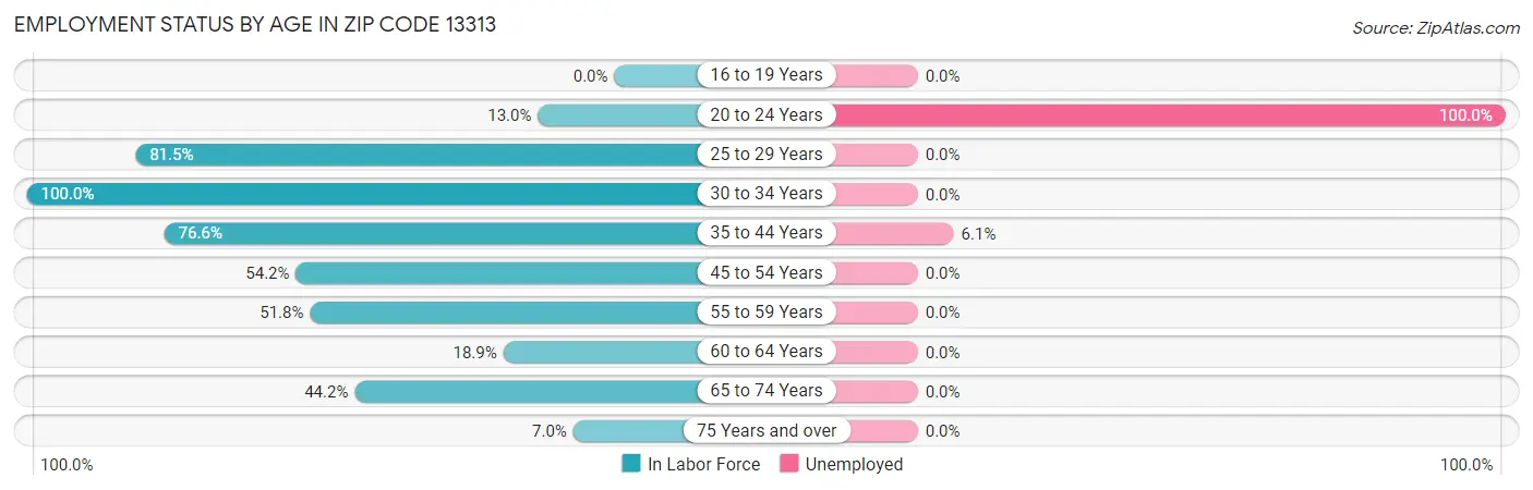 Employment Status by Age in Zip Code 13313