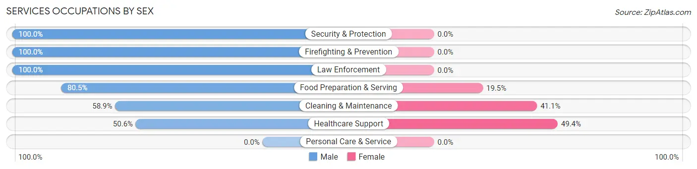 Services Occupations by Sex in Zip Code 13317