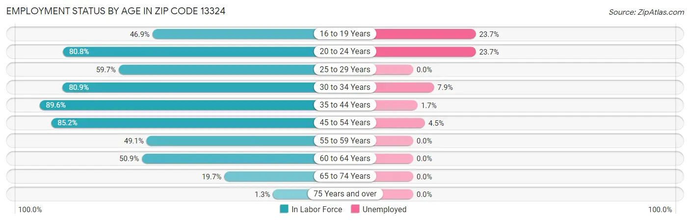 Employment Status by Age in Zip Code 13324