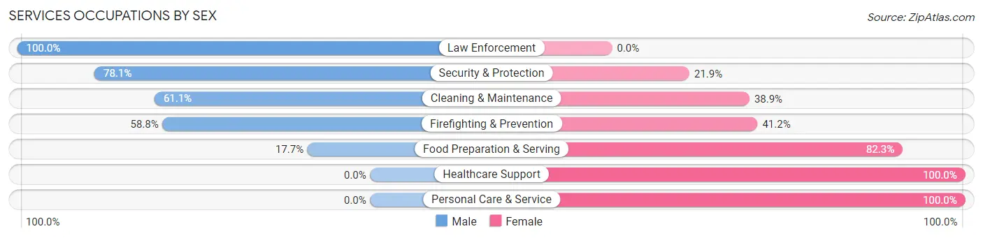 Services Occupations by Sex in Zip Code 13327