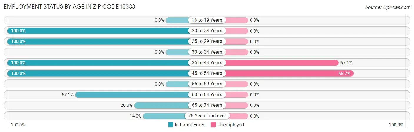Employment Status by Age in Zip Code 13333
