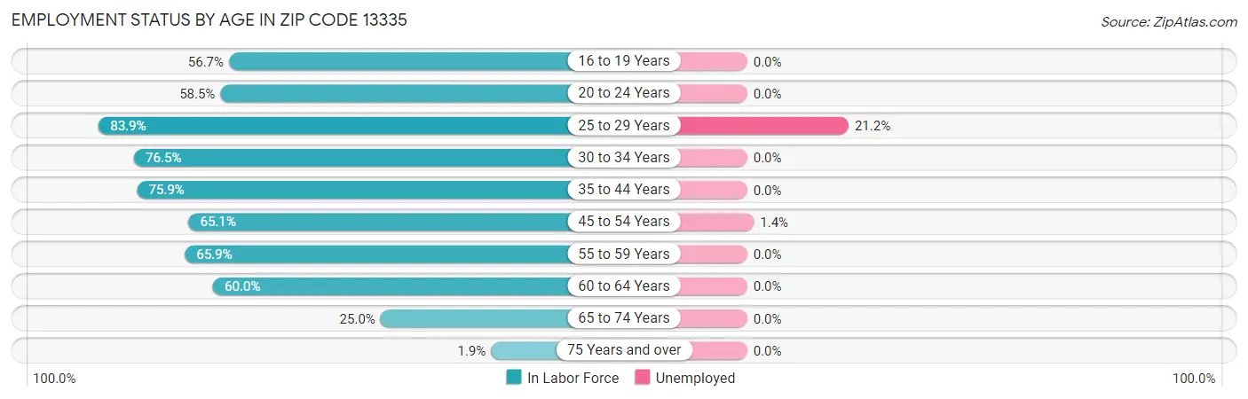 Employment Status by Age in Zip Code 13335